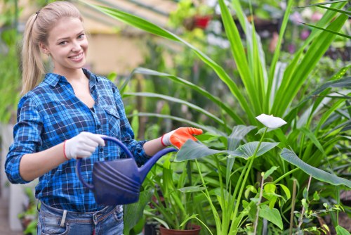 Receipts and refund process for Gardening Colindale