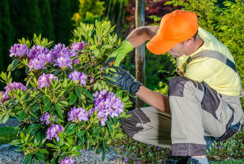 Gardener tidying Colindale front garden with tools