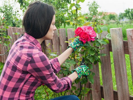 Gardener beginning work in a Colindale garden with tools