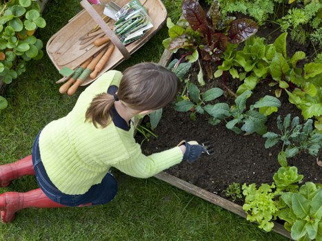 Residents sorting garden waste into labelled containers