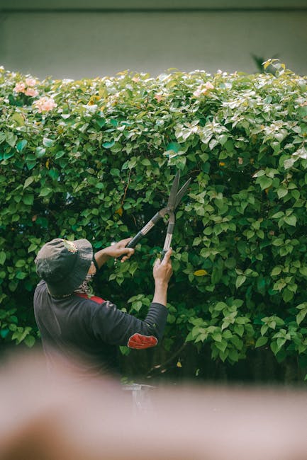 A man with a well-groomed beard and styled hair, dressed in a black apron over a checkered shirt and wearing white gardening gloves, stands outdoors in a garden during daytime. He is preparing for gar